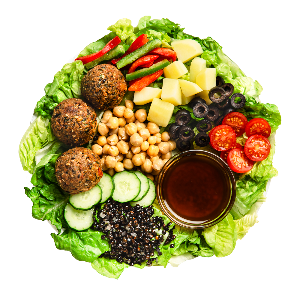 Habibi | Salad or Wrap | 1 pax