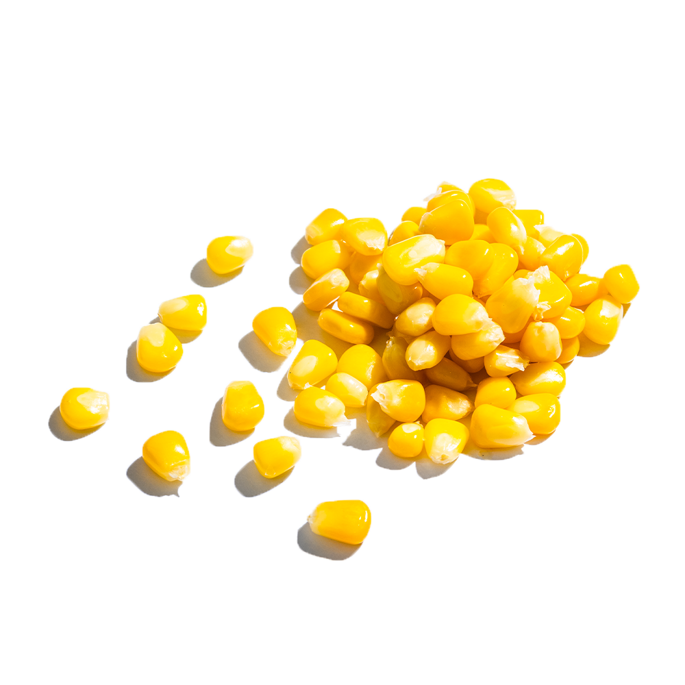 Sweet Corn